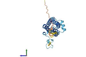 AlphaFold protein structure predicition of Mouse Recombinant Scamp4 Protein, UniprotID Q9JKV5