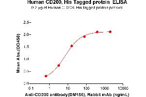 ELISA plate pre-coated by 2 μg/mL (100 μL/well) Human CD200 Protein, His Tag (ABIN6961153, ABIN7042335 and ABIN7042336) can bind Anti-CD200 antibody(DM156), Rabbit mAb in a linear range of 0.