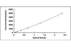 CD69 (CD69) ELISA Kit