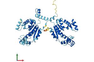 AlphaFold protein structure predicition of Human Recombinant AK8 Protein, UniprotID Q96MA6