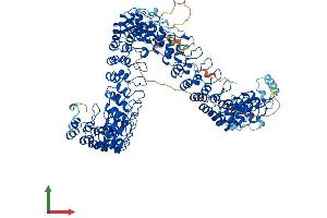 Protein Structure (PS) image for Ankyrin Repeat Domain 28 (ANKRD28) (AA 1-1053) protein (His tag) (ABIN7552251)