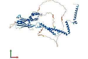 Protein Structure (PS) image for SWI/SNF Related, Matrix Associated, Actin Dependent Regulator of Chromatin, Subfamily D, Member 2 (SMARCD2) (AA 1-531) protein (His tag) (ABIN7546325)