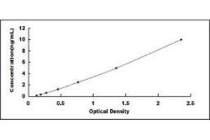 Typical standard curve (SLFN5 ELISA 试剂盒)