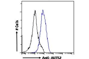 ABIN308459 Flow cytometric analysis of paraformaldehyde fixed A431 cells (blue line), permeabilized with 0. (AUTS2 抗体  (C-Term))