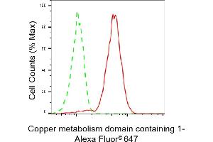 Flow cytometric analysis of Copper metabolism domain containing 1 expression in HepG2 cells using Copper metabolism domain containing 1 antibody (ABIN7798154), 1:2,000). (COMMD1 抗体)