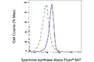Validation of Spermine synthase knockdown using flow cytometry. (Recombinant SMS 抗体)