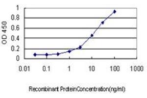 Detection limit for recombinant GST tagged RIOK3 is approximately 0. (RIOK3 抗体  (AA 1-516))