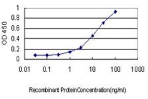 Detection limit for recombinant GST tagged RIOK3 is approximately 0.