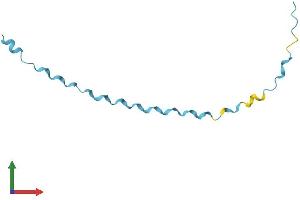 AlphaFold protein structure predicition of Mouse Recombinant Sprr2e Protein, UniprotID O70556