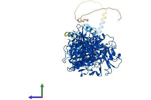 AlphaFold protein structure predicition of Mouse Recombinant Enpp1 Protein, UniprotID P06802