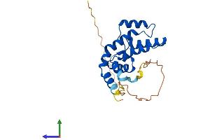 AlphaFold protein structure predicition of Mouse Recombinant Rgs17 Protein, UniprotID Q9QZB0