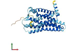 Protein Structure (PS) image for Olfactory Receptor, Family 1, Subfamily A, Member 1 (OR1A1) (AA 1-309) protein (His tag) (ABIN7550446)