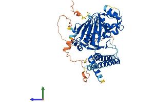 AlphaFold protein structure predicition of Mouse Recombinant Hspbap1 Protein, UniprotID Q8BK58