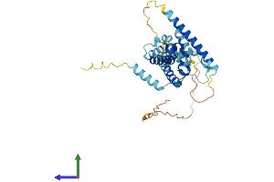 AlphaFold protein structure predicition of Mouse Recombinant Ccdc97 Protein, UniprotID Q9DBT3 (CCDC97 Protein (AA 1-340) (His tag))