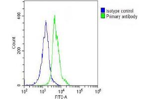 Overlay histogram showing THP-1 cells stained with Antibody (green line). (Very Low Density Lipoprotein (VLDL) (AA 484-510) 抗体)