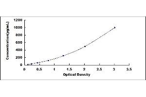 Typical standard curve (ARNTL ELISA 试剂盒)