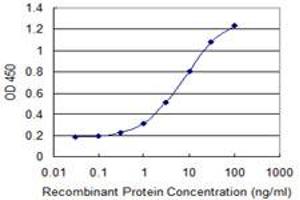 Detection limit for recombinant GST tagged DDO is 0. (DDO 抗体  (AA 270-369))