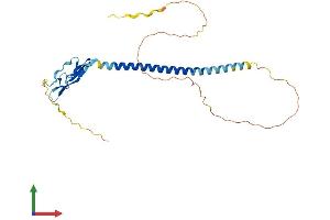 Protein Structure (PS) image for Sushi Domain Containing 3 (SUSD3) (AA 1-269) protein (His tag) (ABIN7560872)