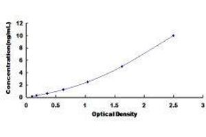 Typical standard curve (SLC30A8 ELISA 试剂盒)