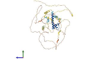 AlphaFold protein structure predicition of Human Recombinant DMRT2 Protein, UniprotID Q9Y5R5