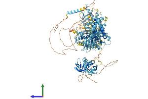 Protein Structure (PS) image for Peroxisomal Biogenesis Factor 1 (PEX1) (AA 1-1284) protein (His tag) (ABIN7563797)