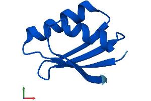 Protein Structure (PS) image for ATX1 Antioxidant Protein 1 Homolog (ATOX1) (AA 1-68) protein (Fc Tag) (ABIN7552517)