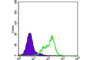 Flow cytometric analysis of Hela cells using THAP11 mouse mAb (green) and negative control (purple). (THAP11 抗体)