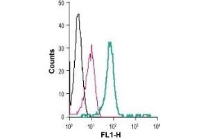 Cell surface detection of P2RX7 in live intact human THP-1 monocytic leukemia cells: (black line) Cells. (P2RX7 抗体  (Extracellular) (FITC))