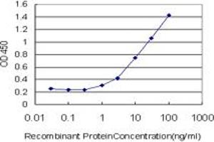 Detection limit for recombinant GST tagged EPHB6 is approximately 1ng/ml as a capture antibody. (EPH Receptor B6 抗体  (AA 23-122))
