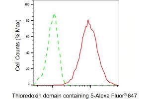 Flow cytometric analysis of Thioredoxin domain containing 5 expression in HepG2 cells using Thioredoxin domain containing 5 antibody ( (ABIN7800541), 1:2,000). (TXNDC5 抗体)