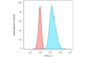 Flow Cytometric Analysis of HeLa cells using Cytokeratin 8 Mouse Monoclonal Antibody (H1) followed by Goat anti-Mouse IgG-CF488 (Blue); Isotype Control (Red). (KRT8 抗体)