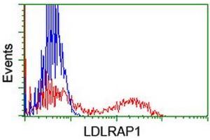 Flow Cytometry (FACS) image for anti-Low Density Lipoprotein Receptor Adaptor Protein 1 (LDLRAP1) antibody (ABIN1496688) (LDLRAP1 抗体)