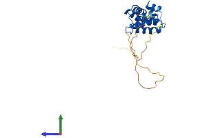 Protein Structure (PS) image for Regulator of G-Protein Signaling 4 (RGS4) (AA 1-205) protein (His tag) (ABIN7562219)