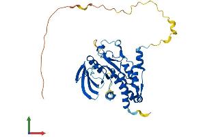 Protein Structure (PS) image for Protein tyrosine Phosphatase, Non-Receptor Type 7 (PTPN7) (AA 1-359) protein (His tag) (ABIN7558902)