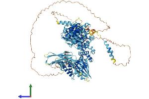 Protein Structure (PS) image for Adaptor-Related Protein Complex 4, epsilon 1 Subunit (AP4E1) (AA 1-1122) protein (His tag) (ABIN7564269)