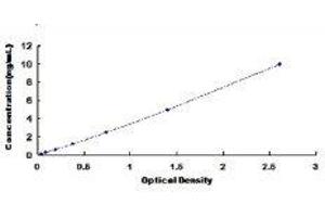 Thioredoxin Reductase 1 (TXNRD1) ELISA Kit
