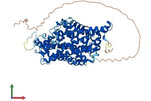 Protein Structure (PS) image for Solute Carrier Family 6 (Neurotransmitter Transporter, serotonin), Member 4 (SLC6A4) (AA 1-630) protein (His tag) (ABIN7563884)