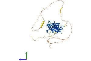 Protein Structure (PS) image for V-Rel Reticuloendotheliosis Viral Oncogene Homolog B (RELB) (AA 1-558) protein (His tag) (ABIN7563595)