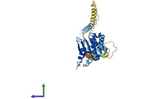 Protein Structure (PS) image for Nogo B Receptor (NUS1) (AA 1-297) protein (His tag) (ABIN7560376)
