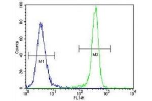 Flow Cytometry (FACS) image for anti-Isocitrate Dehydrogenase 1 (NADP+), Soluble (IDH1) (AA 116-143) antibody (ABIN3031506)