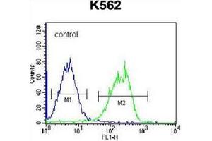 Flow cytometric analysis of K562 cells using HLA-DQA1 Antibody (Center) Cat. (HLA-DQA1 抗体  (Middle Region))