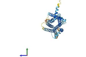 AlphaFold protein structure predicition of Human Recombinant TAS2R39 Protein, UniprotID P59534