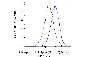 Validation of PKC alpha knockdown using flow cytometry.