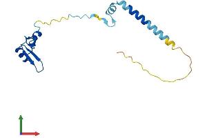 Protein Structure (PS) image for Ribosomal Protein L24 (RPL24) (AA 1-157) protein (His tag) (ABIN7551434)