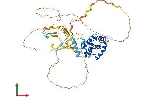 Protein Structure (PS) image for Cdk5 and Abl Enzyme Substrate 2 (CABLES2) (AA 1-476) protein (His tag) (ABIN7559551)