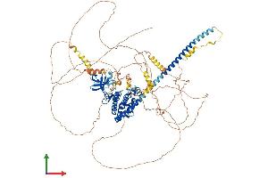 Protein Structure (PS) image for Mitogen-Activated Protein Kinase Kinase Kinase 13 (MAP3K13) (AA 1-966) protein (His tag) (ABIN7554497)