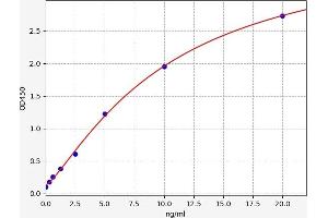 Typical standard curve (ADAMTS9 ELISA 试剂盒)
