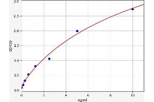 Typical standard curve (FOXC1 ELISA 试剂盒)