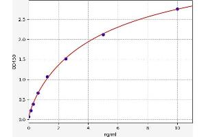 ELISA image for Cross-Linked C-Telopeptides of Type I Collagen (CTX-I) ELISA Kit (ABIN6966135)