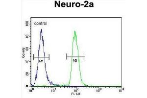 CIRH1A Antibody (N-term) flow cytometric analysis of Neuro-2a cells (right histogram) compared to a negative control cell (left histogram).